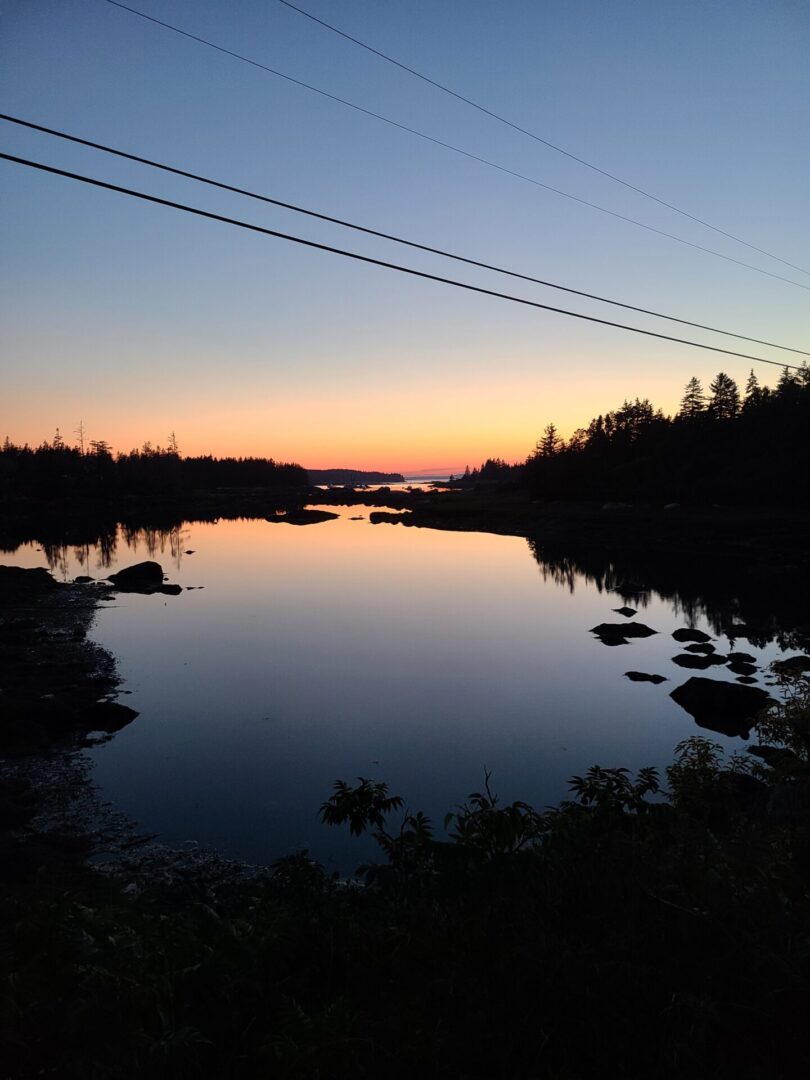 A body of water with trees in the background