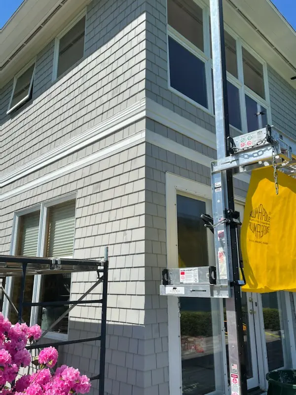 A yellow and white building with a pink flower in front of it.