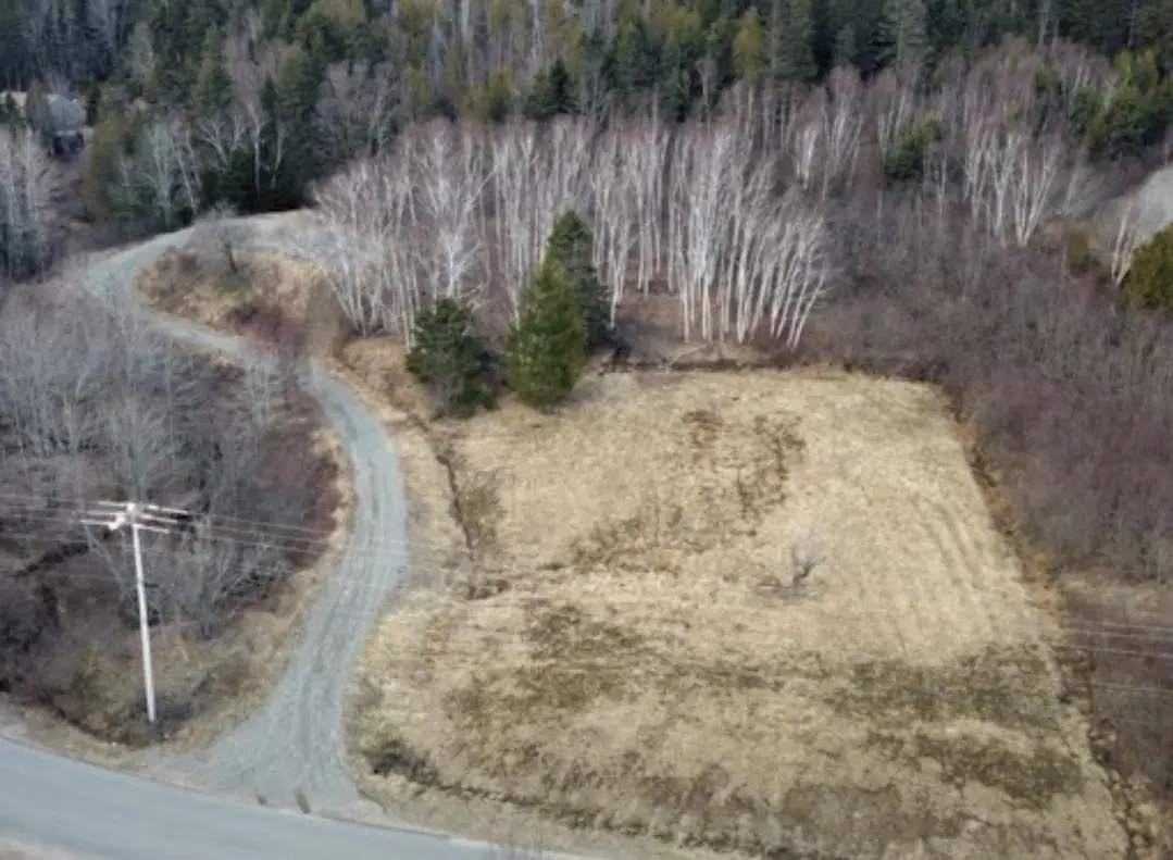 A road with some trees in the background